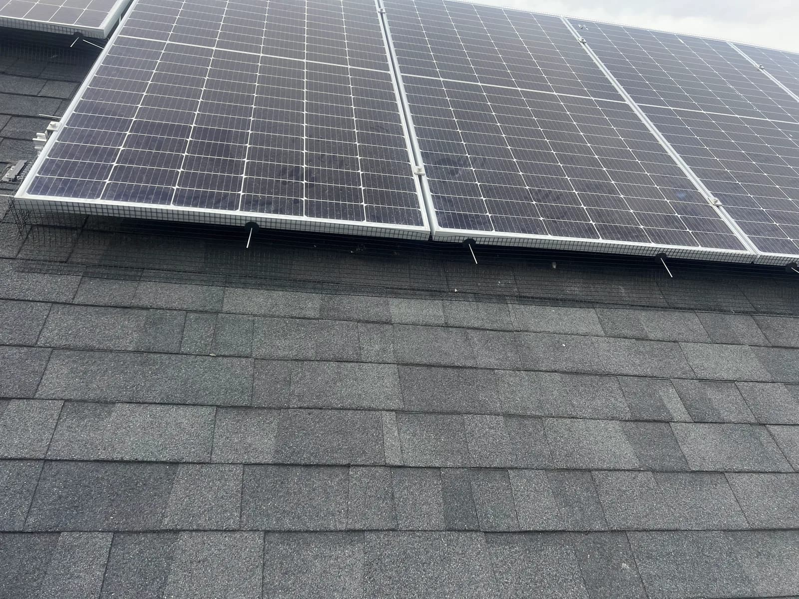 Mesh skirting fitted along the lower edge of a solar array