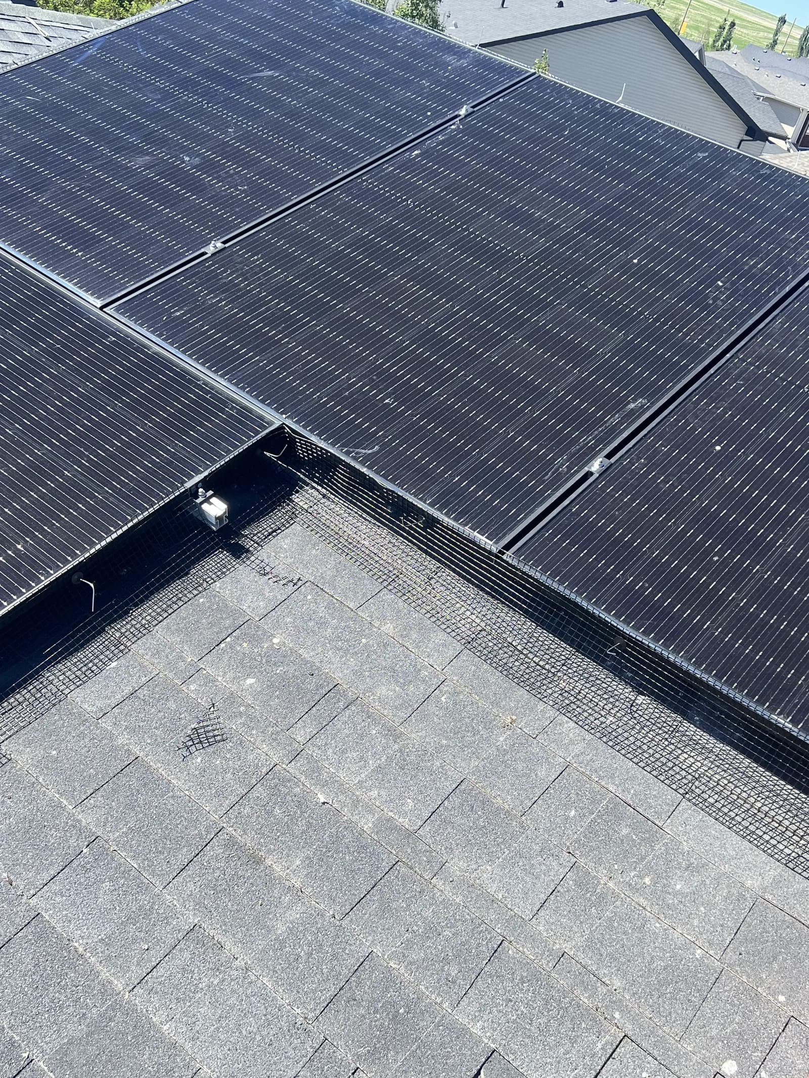 Netting installed where solar panels meet the shingle roof