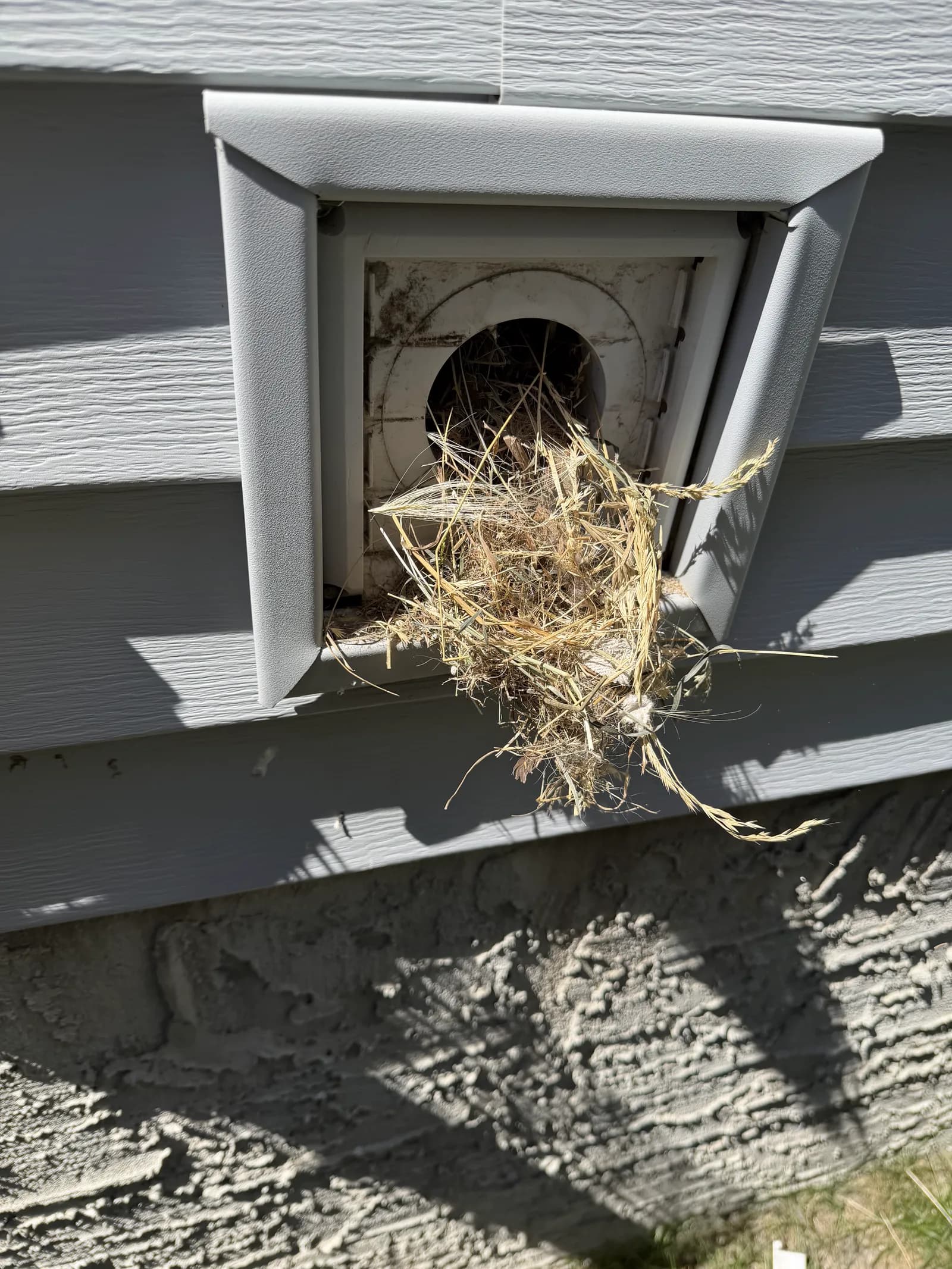 A bird nest packed into an exterior wall vent