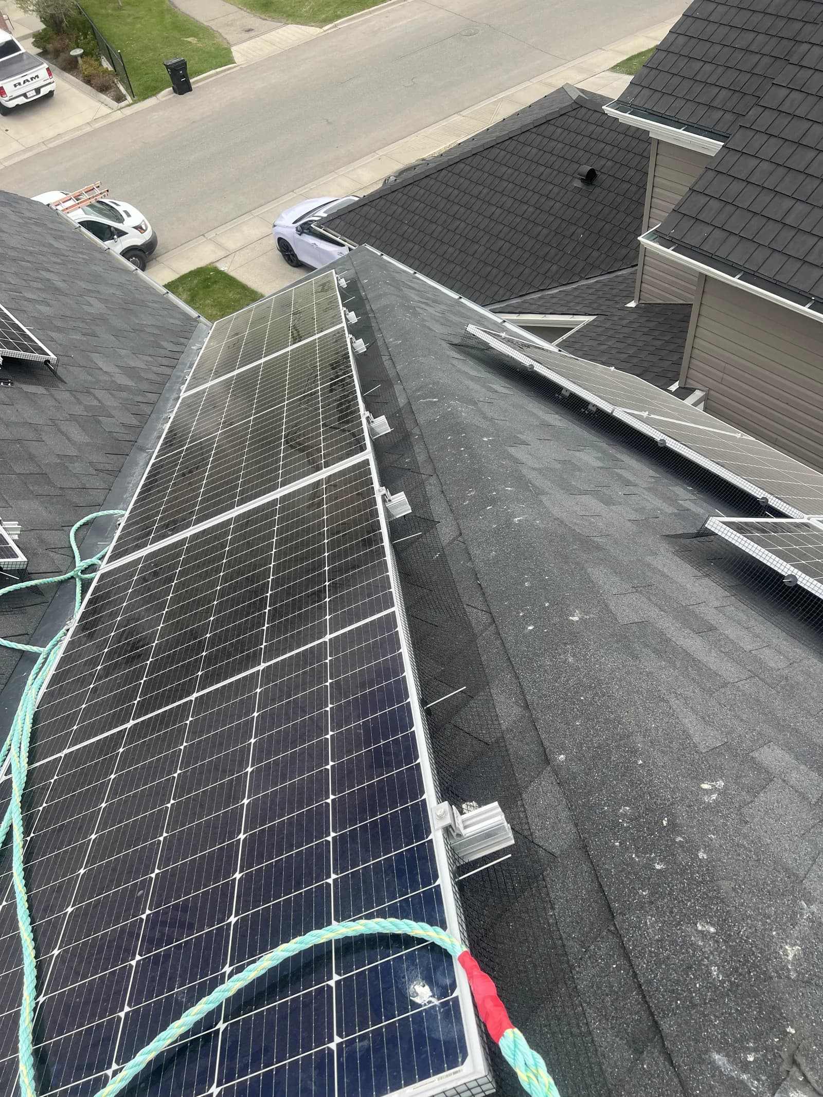 A rooftop solar array pigeon-proofed with mesh, seen from above