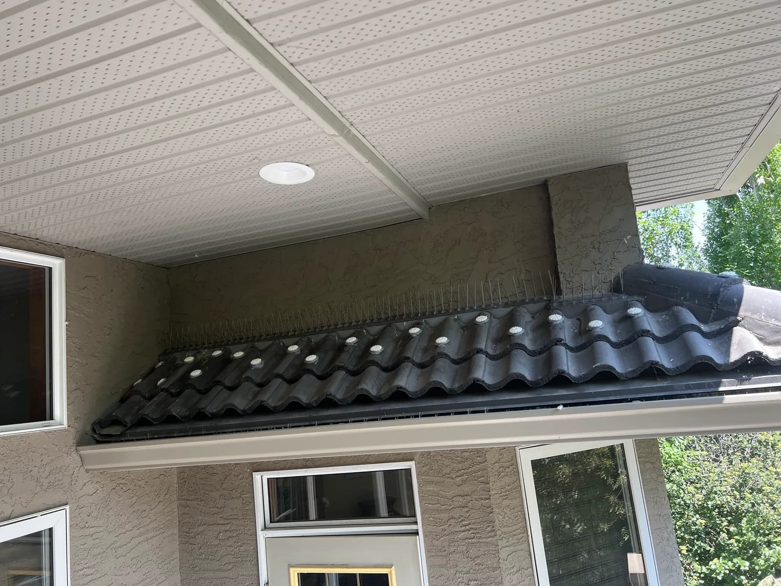 Bird spikes installed along a covered patio roofline