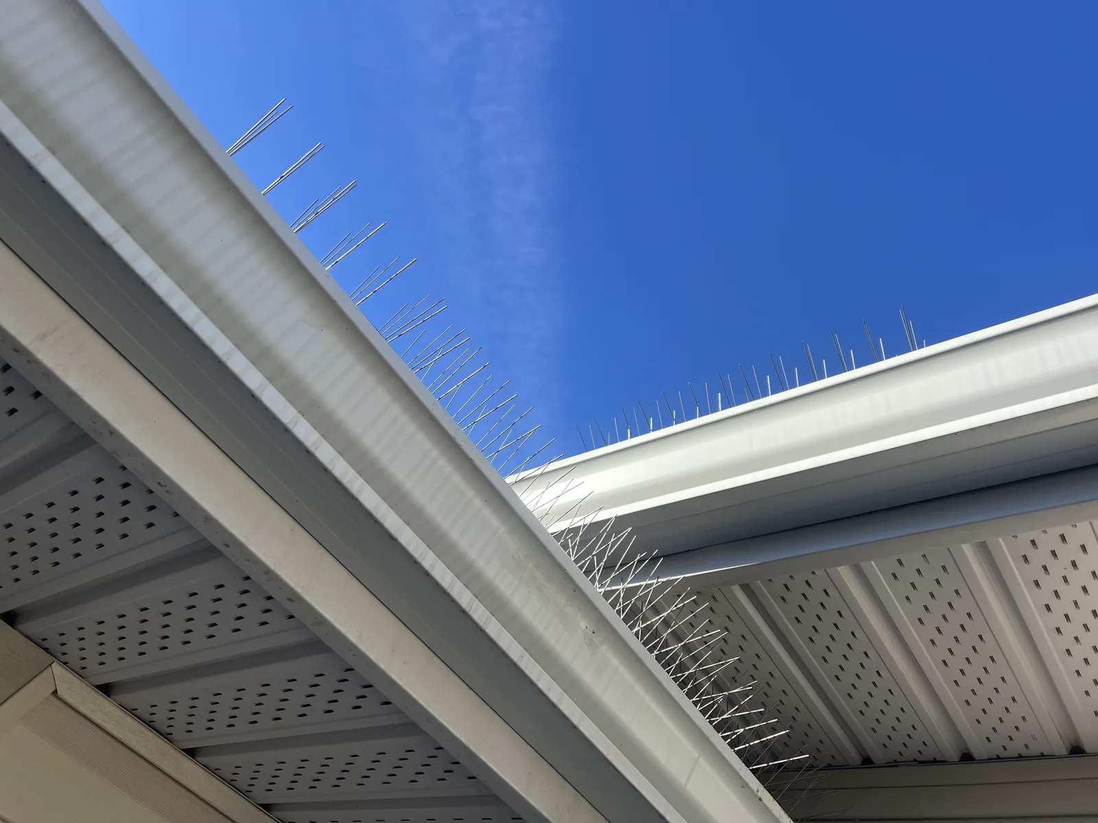 Bird spikes lining two roof eaves against a blue sky