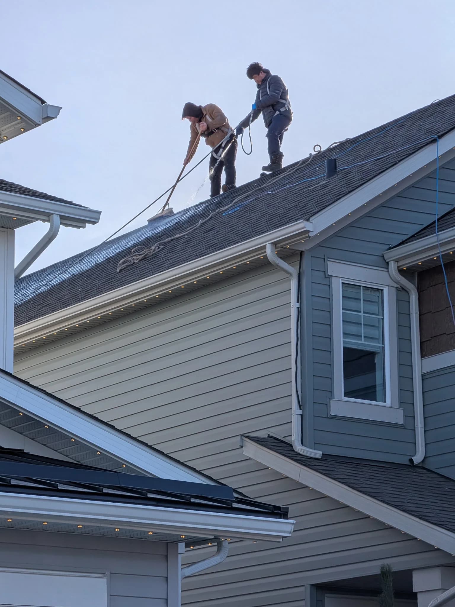 Two harnessed Pro-Pest technicians treating a steep shingle roof