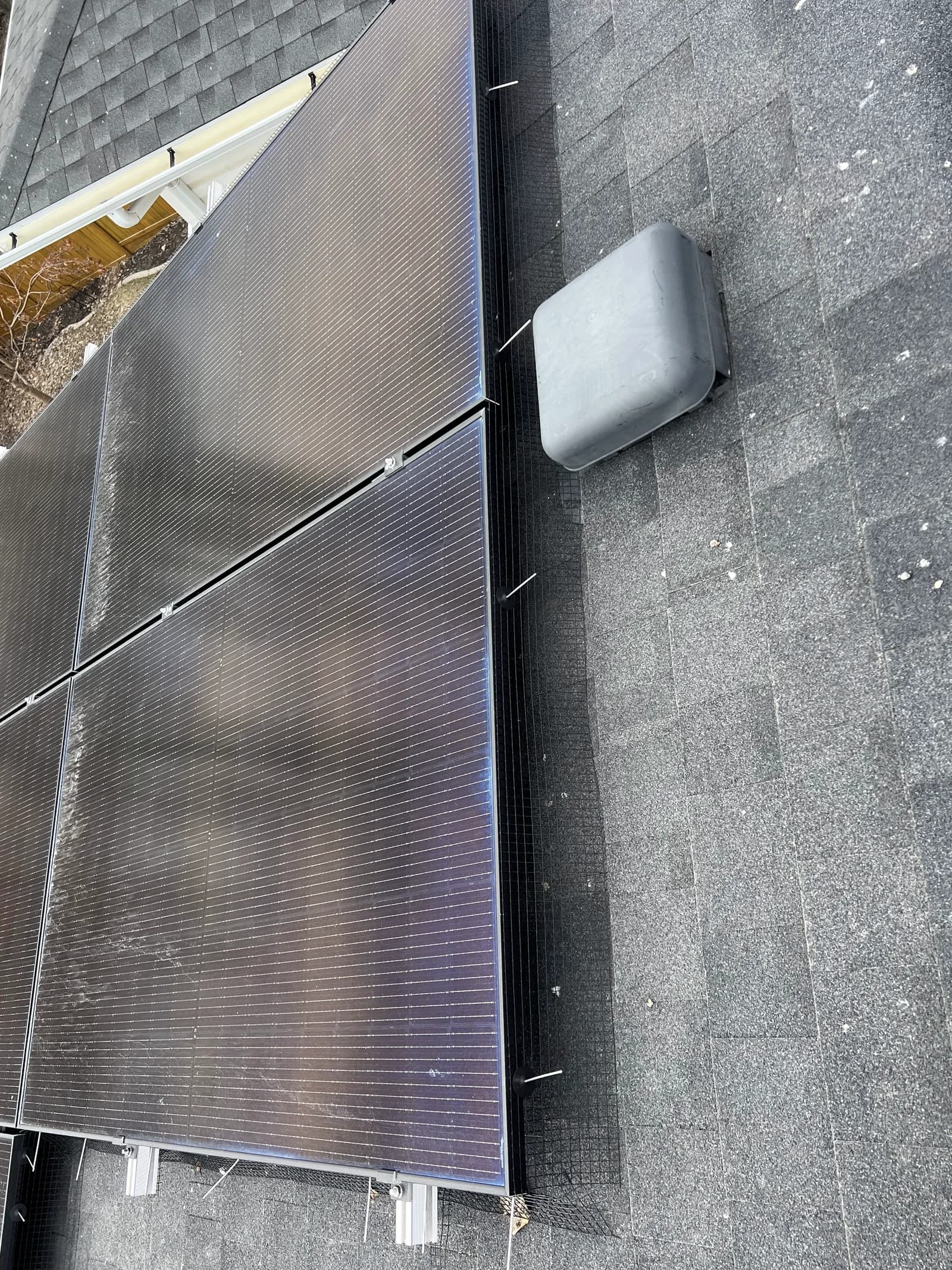 Rooftop solar panels skirted with wire mesh along every edge