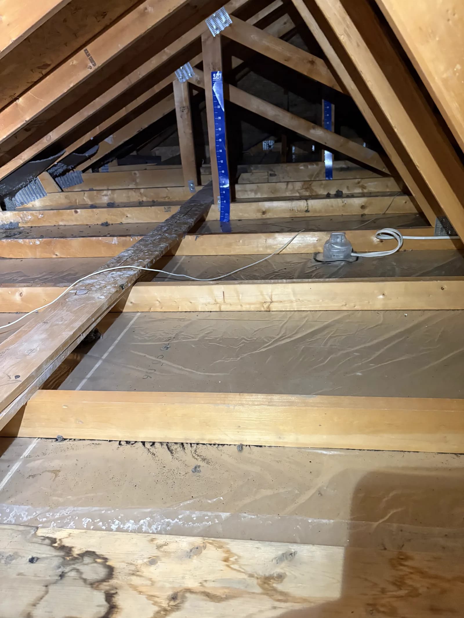 An attic prepared for blown-in insulation, depth gauge in place